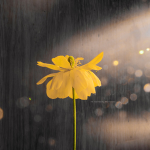 欧美性爱综合网
